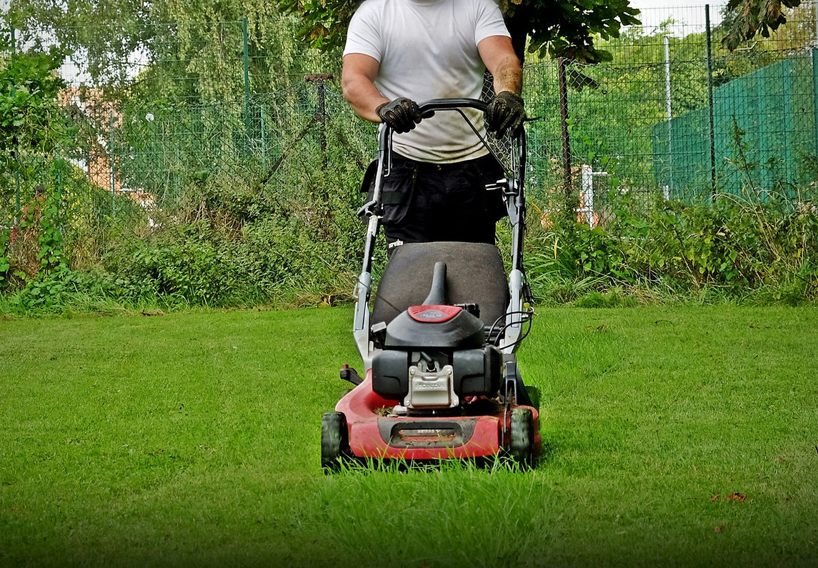 A member of the team mowing a green lawn beside hedges and fencing