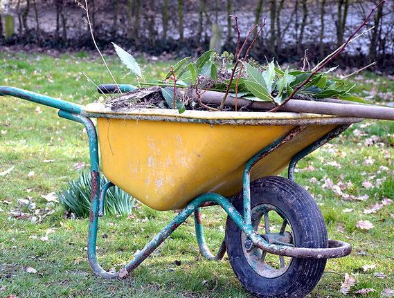 A wheelbarrow filled with garden cuttings and plant waste