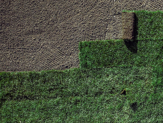 Fresh turf being laid over prepared soil to form a new lawn